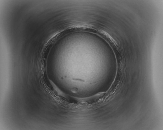 X0000116491064200912161314