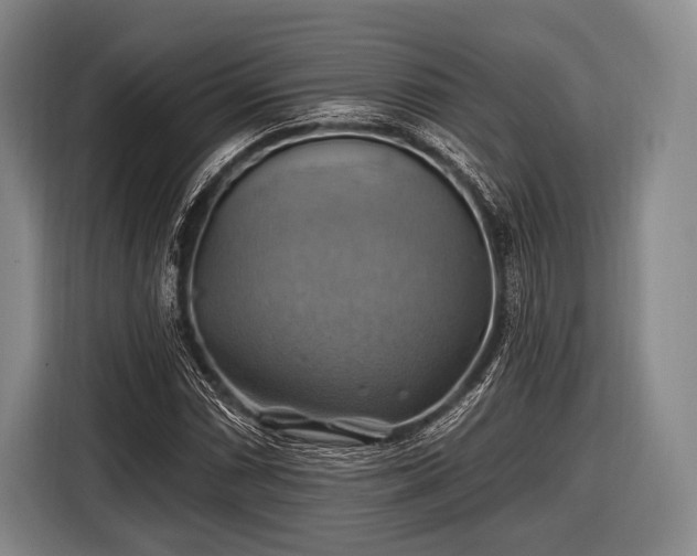 X0000116491066200912161314