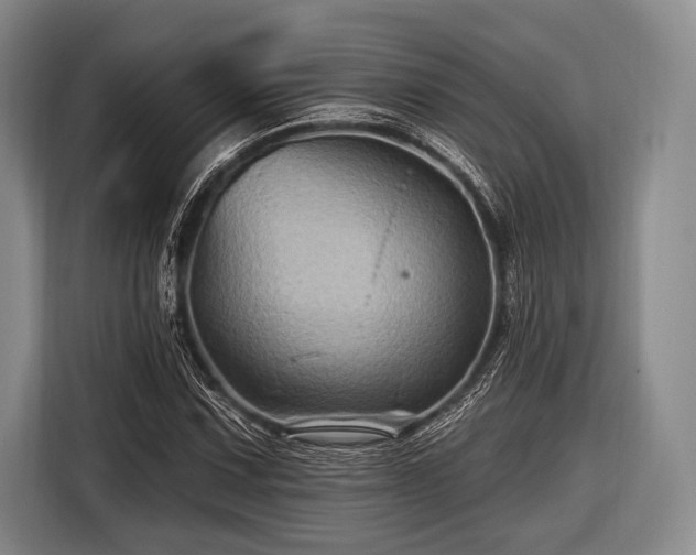 X0000116491067200912161314