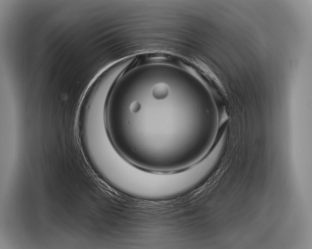 X0000116491068200912161314