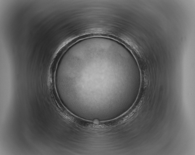 X0000116491070200912161314