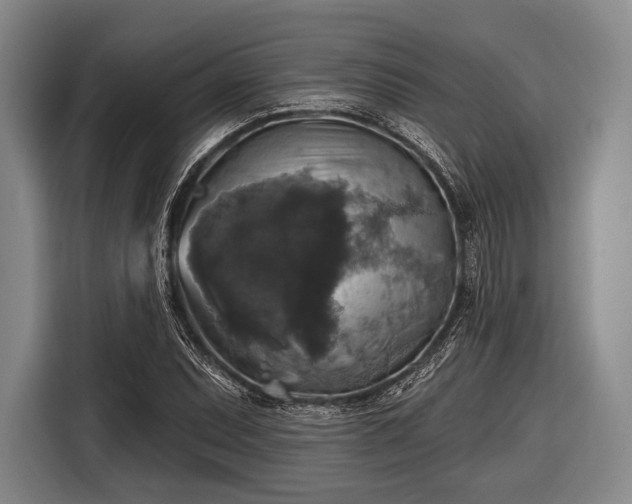 X0000116491071200912161314