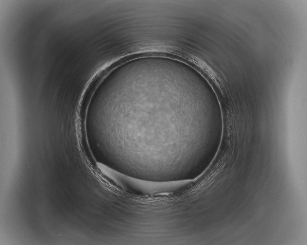 X0000116491072200912161314