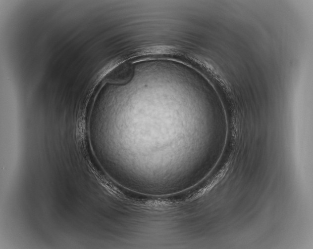 X0000116491073200912161314