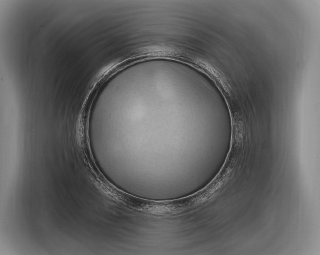 X0000116491074200912161314