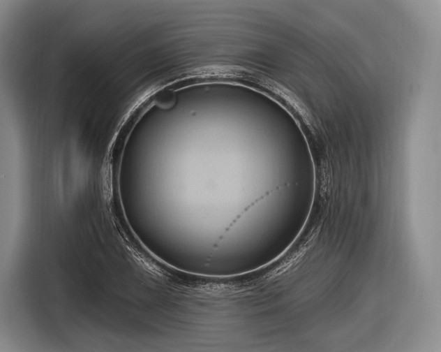 X0000116491075200912161314