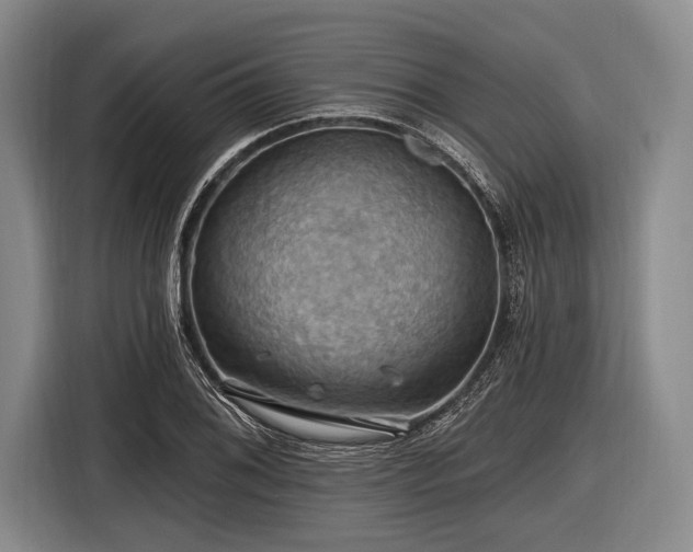 X0000116491076200912161314