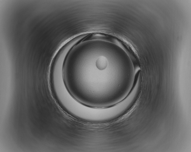 X0000116491077200912161314