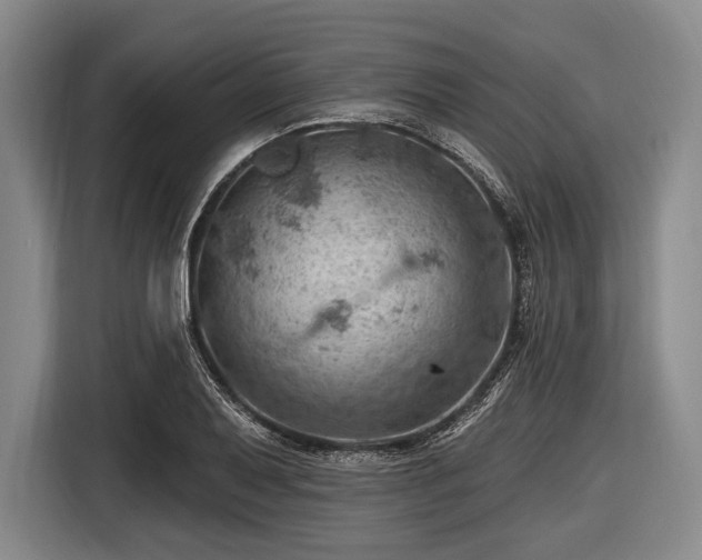 X0000116491079200912161314