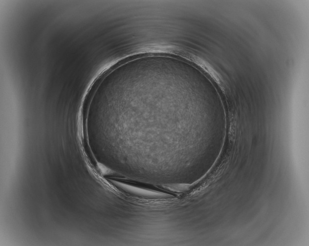 X0000116491080200912161314