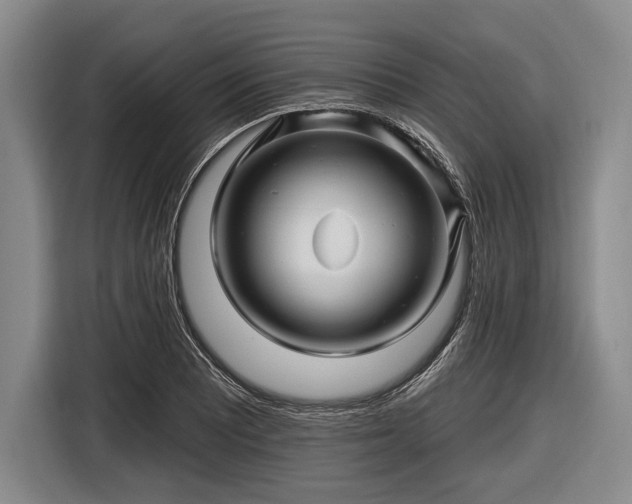 X0000116491081200912161314