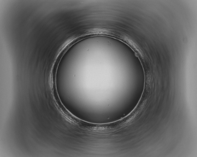 X0000116491082200912161314