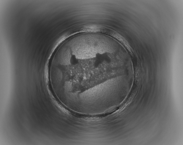 X0000116491083200912161314