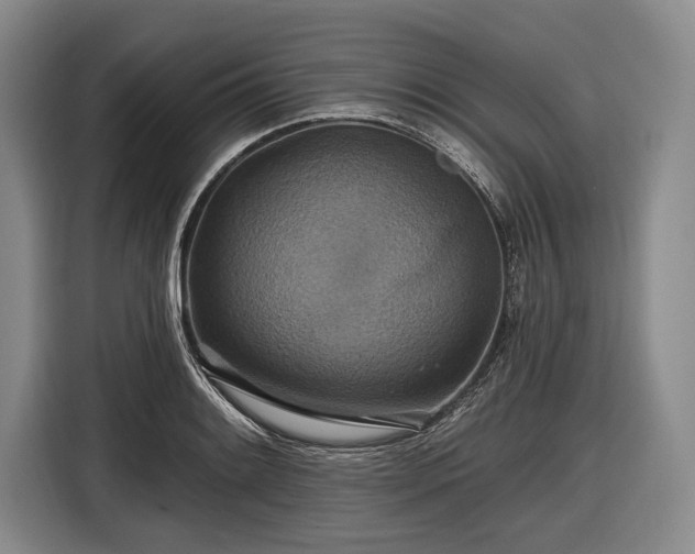 X0000116491084200912161314