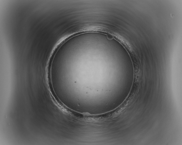 X0000116491086200912161314