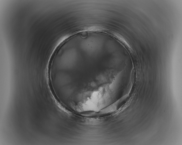 X0000116491087200912161314