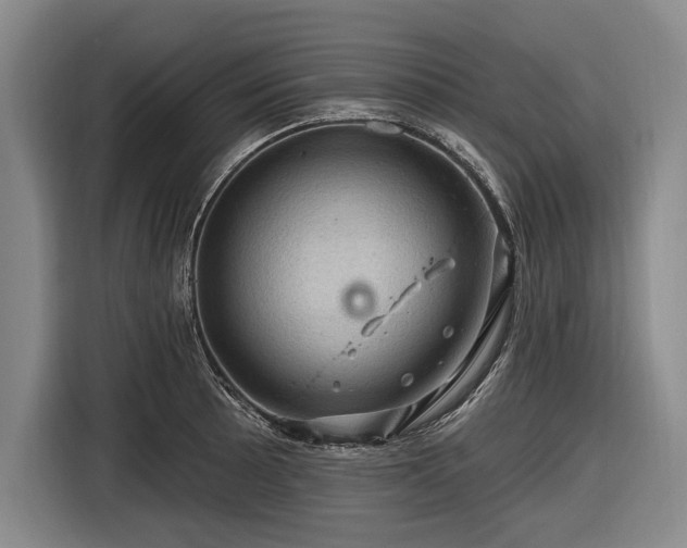 X0000116491089200912161314