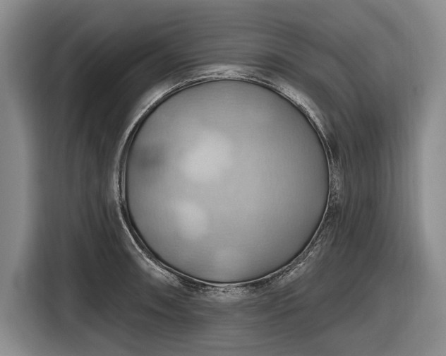 X0000116491090200912161314