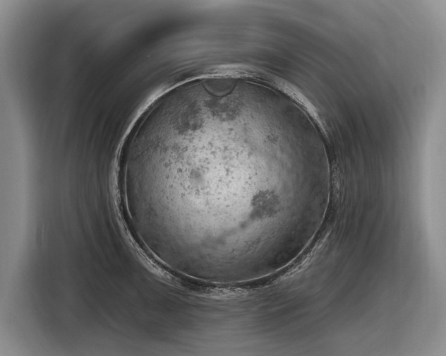 X0000116491091200912161314