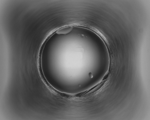 X0000116491093200912161314