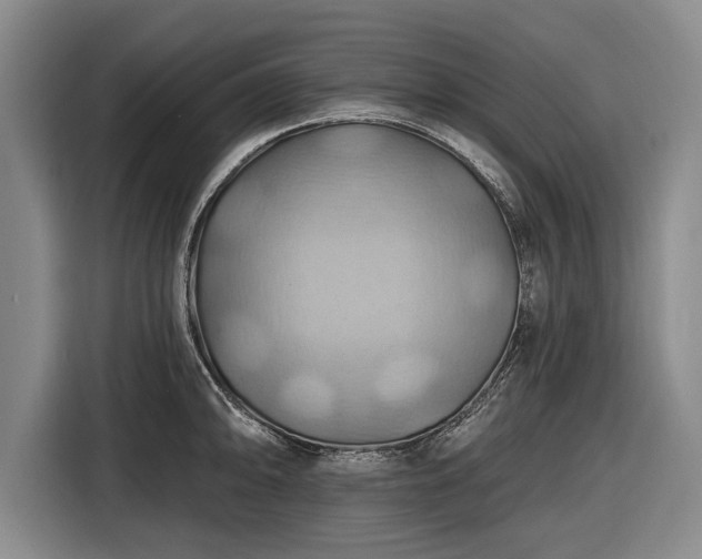 X0000116491094200912161314