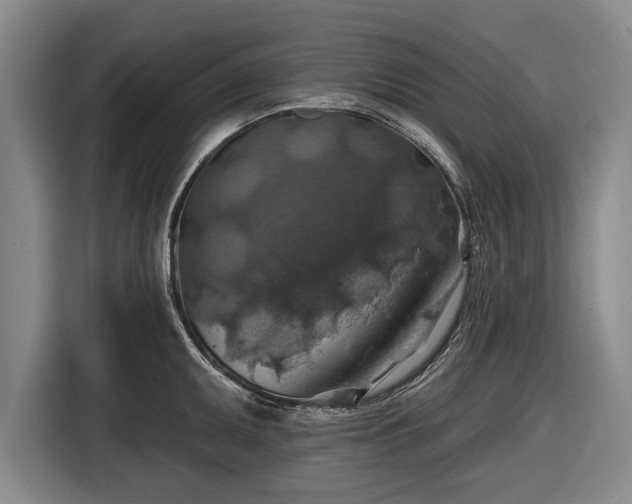 X0000116491095200912161314