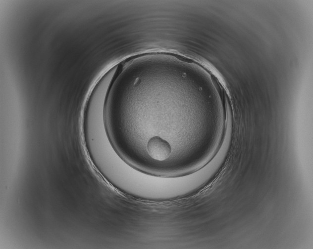 X0000116491096200912161314