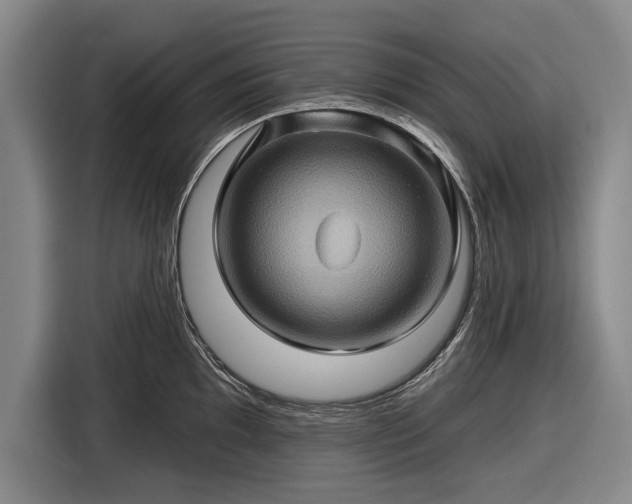 X0000116491097200912161313