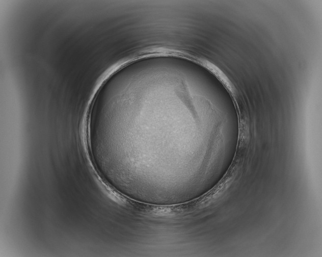 X0000116491098200912161313