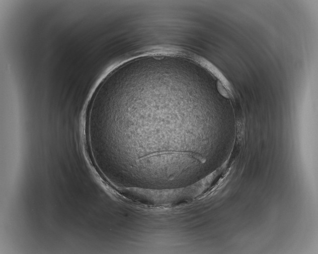 X0000116491099200912161313