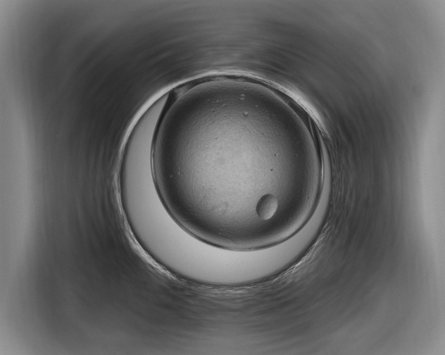 X0000116491100200912161313