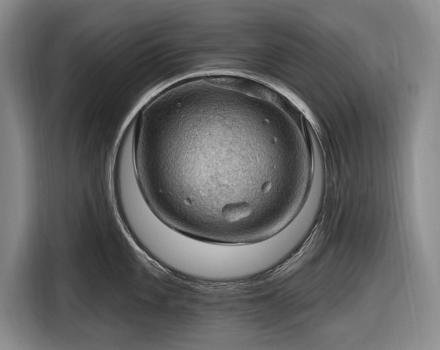 X0000116491101200912161313