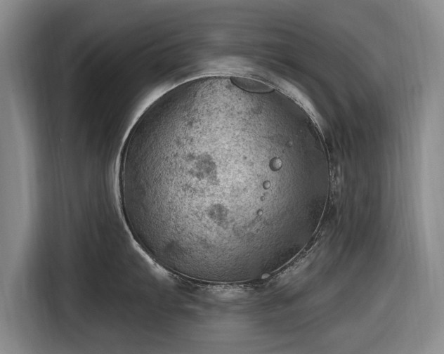 X0000116491103200912161313