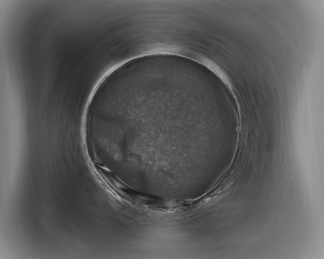 X0000116491104200912161313