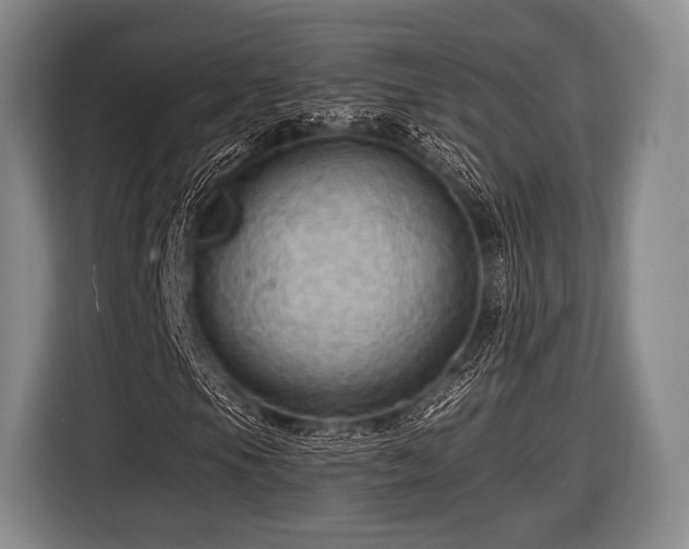 X0000116491105200912161313