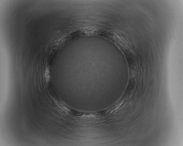 X0000116491106200912161313