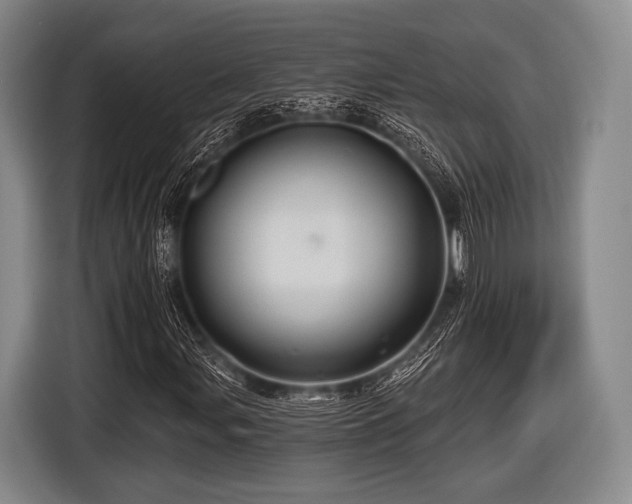 X0000116491107200912161313