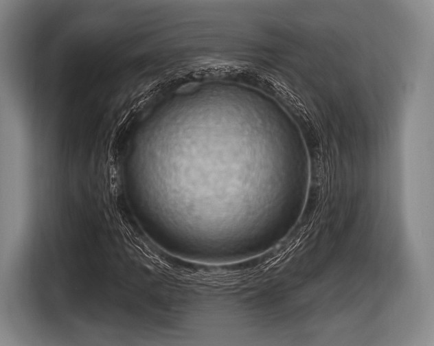 X0000116491109200912161313