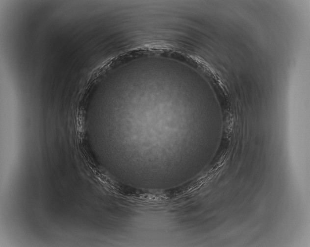 X0000116491110200912161313