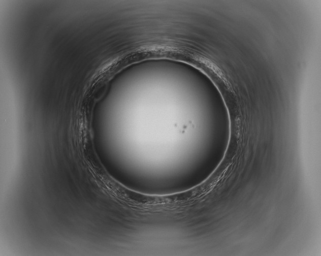 X0000116491111200912161313