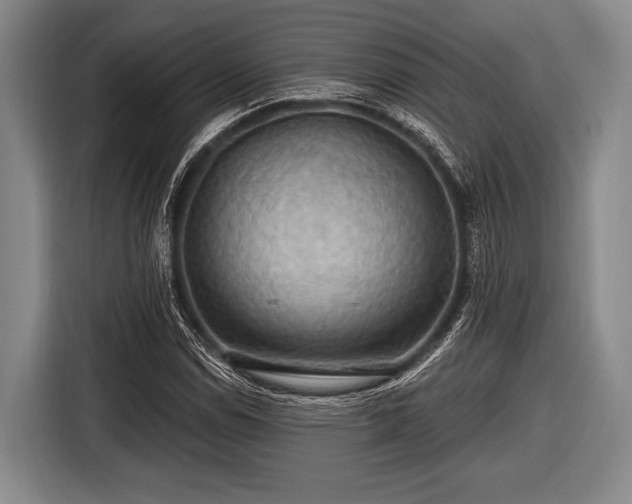 X0000116491114200912161313