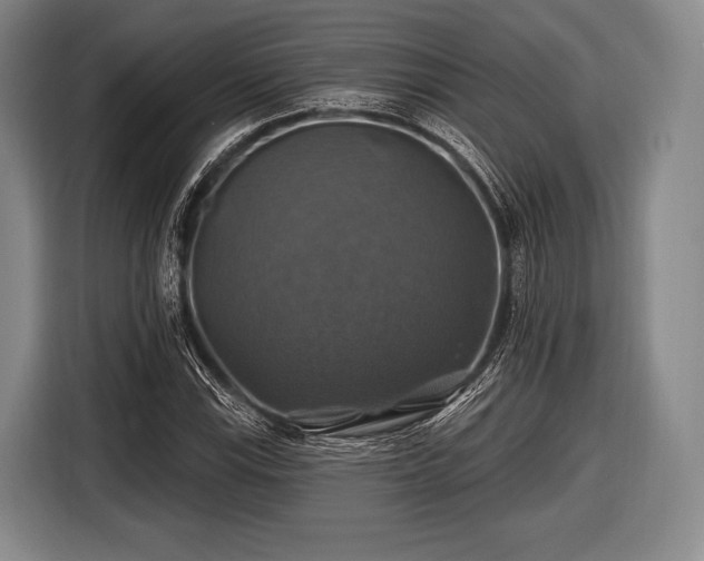 X0000116491115200912161313