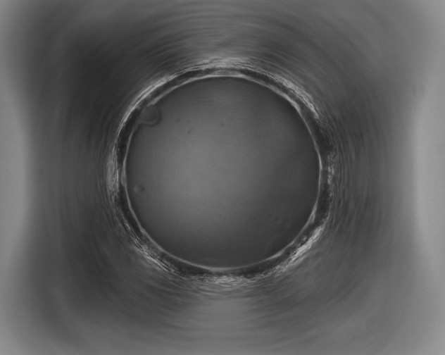 X0000116491117200912161313