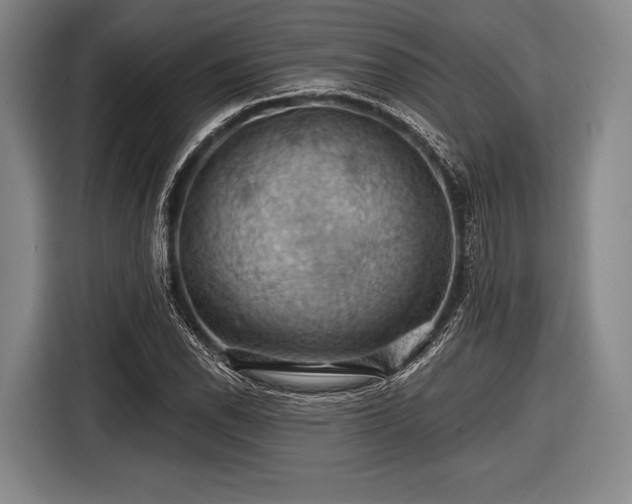 X0000116491118200912161313