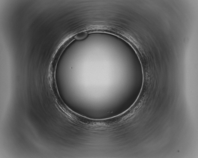 X0000116491119200912161313