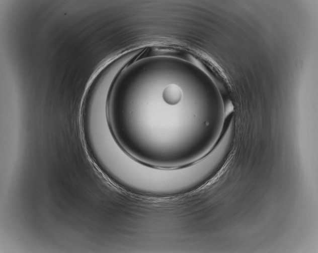 X0000116491122200912161313