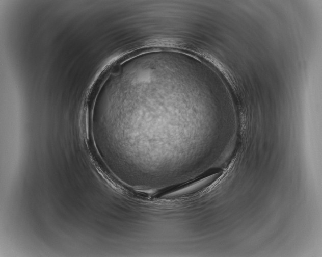 X0000116491123200912161313