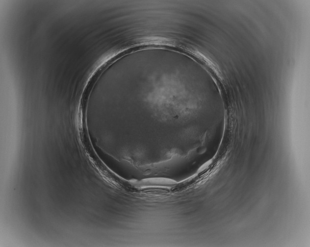 X0000116491125200912161313