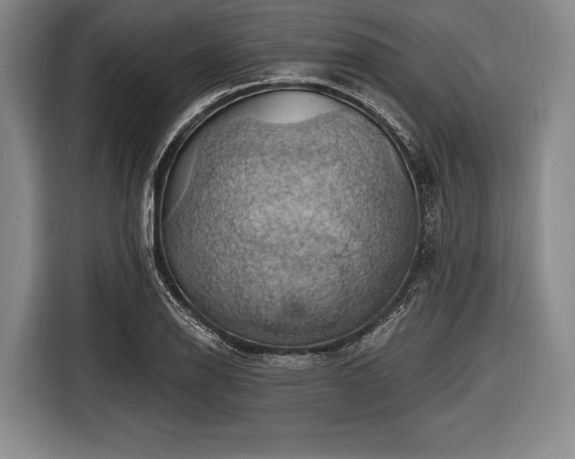 X0000116491126200912161313