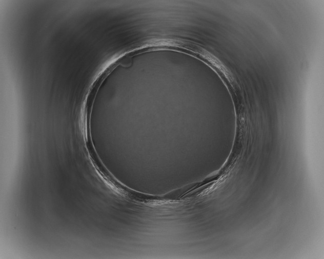 X0000116491127200912161313